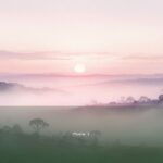 Psalm 1 — Ashré | Text, Meaning and Reflection