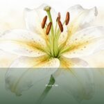 Psalm 94 — El Neqamot | Text, Meaning and Reflection